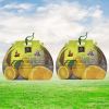 Diviniti Lemon Ice Fragnance Car Air Freshner Combo Set Of 2 Pcs (DCAC027)